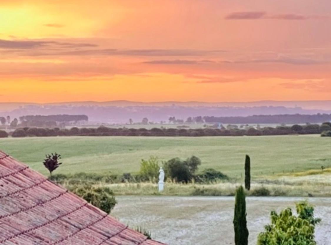 Herdade De Santa Maria Almeirim Kültér fotó