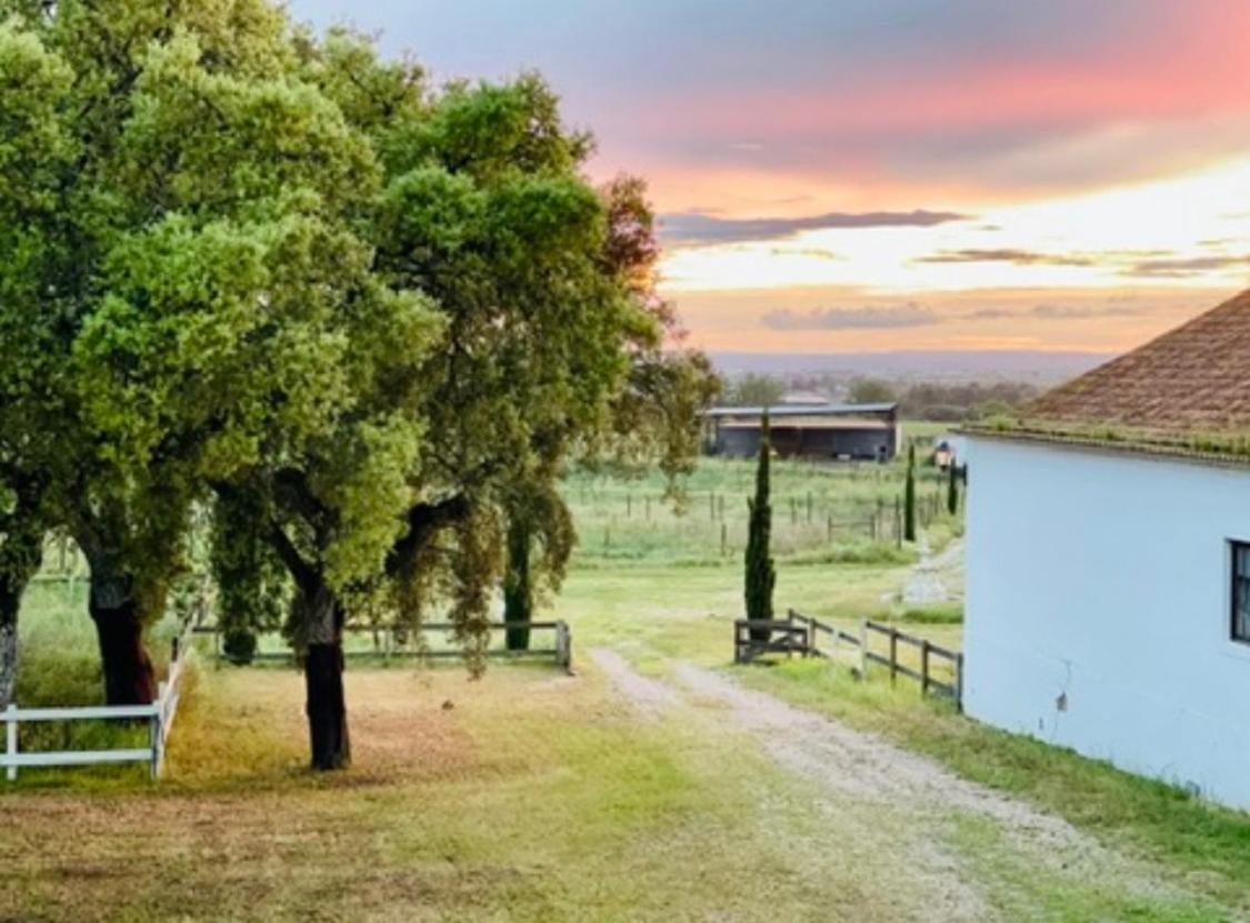Herdade De Santa Maria Almeirim Kültér fotó